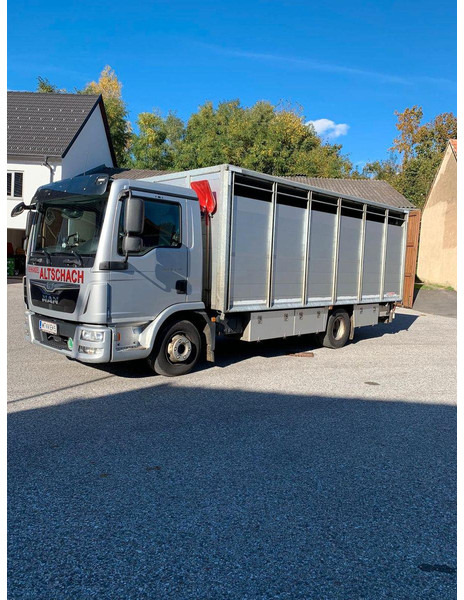MAN TGL 12.250 - Djurtransport lastbil: bild 2 MAN TGL 12.250 - Djurtransport lastbil: bild 2