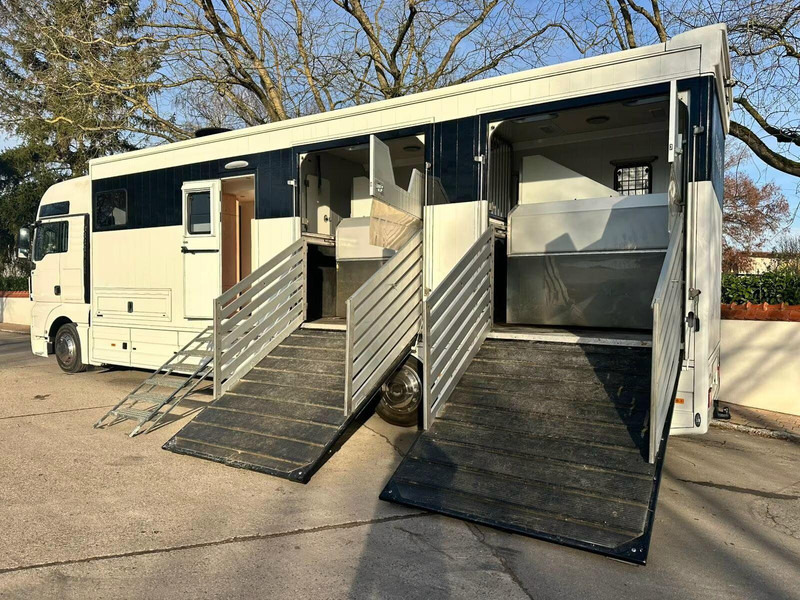 MAN TGX 26.440 - Horse transporter - Hästbuss: bild 5 MAN TGX 26.440 - Horse transporter - Hästbuss: bild 5