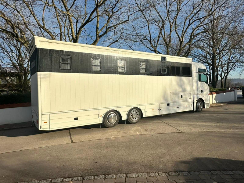 MAN TGX 26.440 - Horse transporter - Hästbuss: bild 3 MAN TGX 26.440 - Horse transporter - Hästbuss: bild 3