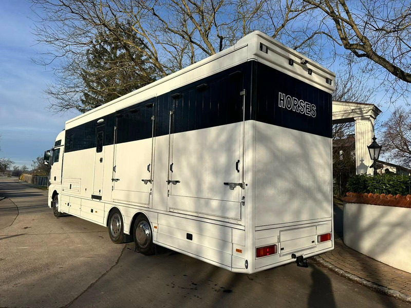 MAN TGX 26.440 - Horse transporter - Hästbuss: bild 4 MAN TGX 26.440 - Horse transporter - Hästbuss: bild 4