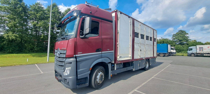 Mercedes-Benz Actros 1851 - Djurtransport lastbil: bild 1 Mercedes-Benz Actros 1851 - Djurtransport lastbil: bild 1