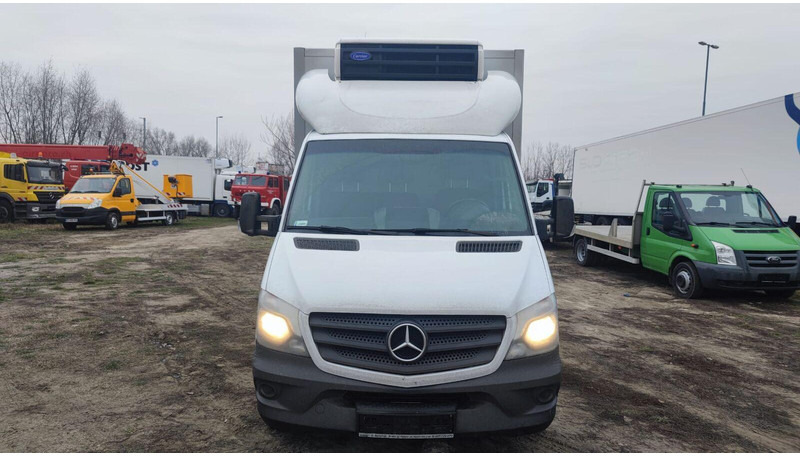 Mercedes-Benz Sprinter 316 cdi - Carrier Xarios 500 frigo - 3,5t - 220V - Kylbil: bild 5 Mercedes-Benz Sprinter 316 cdi - Carrier Xarios 500 frigo - 3,5t - 220V - Kylbil: bild 5
