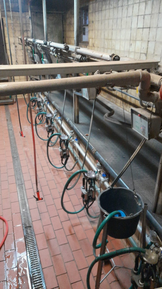 Melkstand - Mjölkmaskin: bild 2 Melkstand - Mjölkmaskin: bild 2