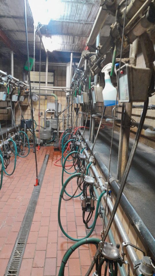 Melkstand - Mjölkmaskin: bild 3 Melkstand - Mjölkmaskin: bild 3