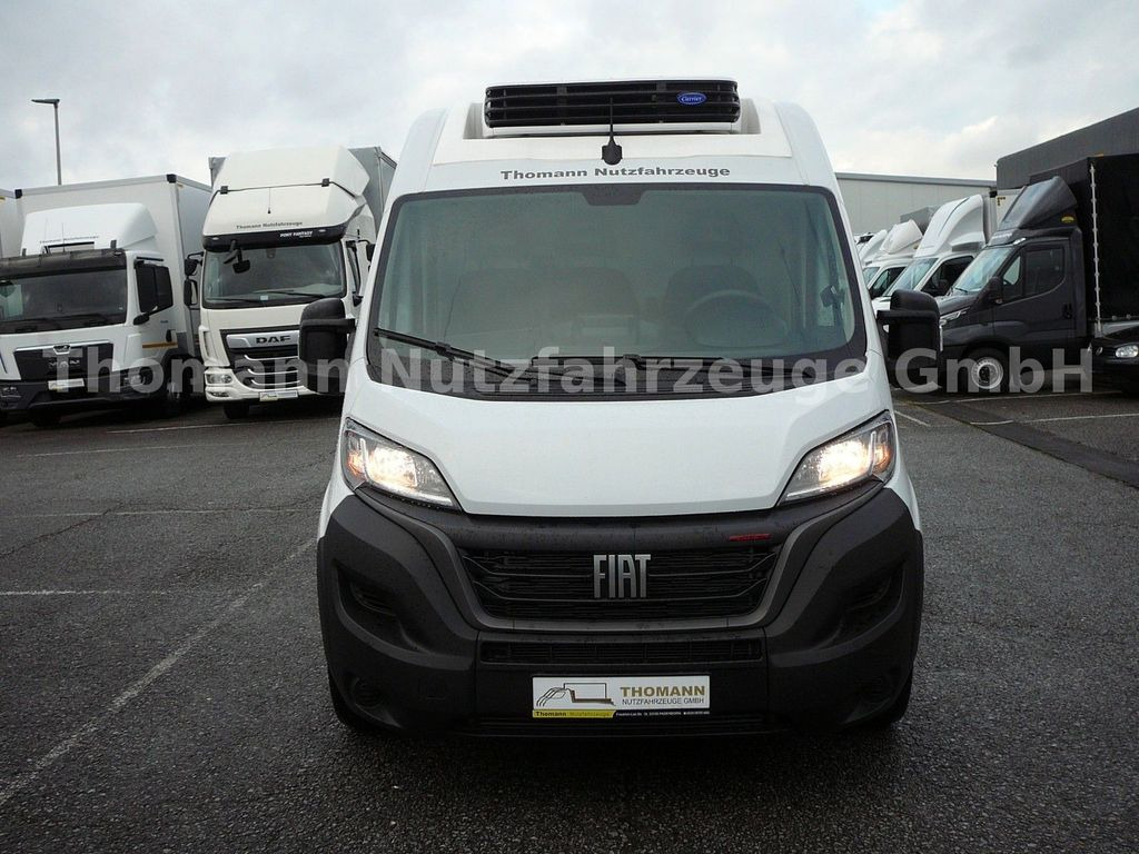 Fiat Ducato Kühlkasten L4/H2 Carrier Xarios 300GH Fiat Ducato Kühlkasten L4/H2 Carrier Xarios 300GH - Kylbil: bild 2 Fiat Ducato Kühlkasten L4/H2 Carrier Xarios 300GH Fiat Ducato Kühlkasten L4/H2 Carrier Xarios 300GH - Kylbil: bild 2