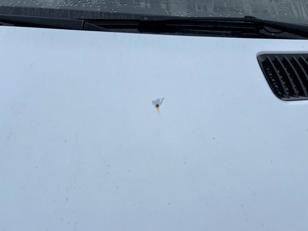 Skåpbil MERCEDES-BENZ 906BB35: bild 13 Skåpbil MERCEDES-BENZ 906BB35: bild 13