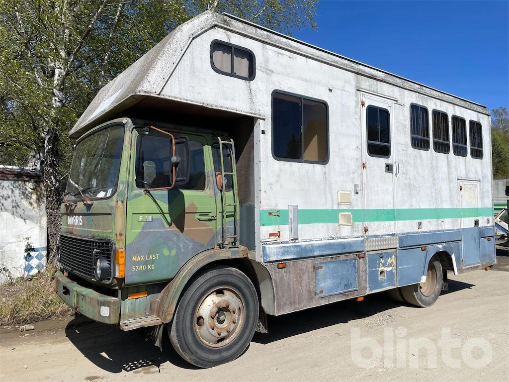 VOLVO F611 - Hästbuss: bild 1 VOLVO F611 - Hästbuss: bild 1