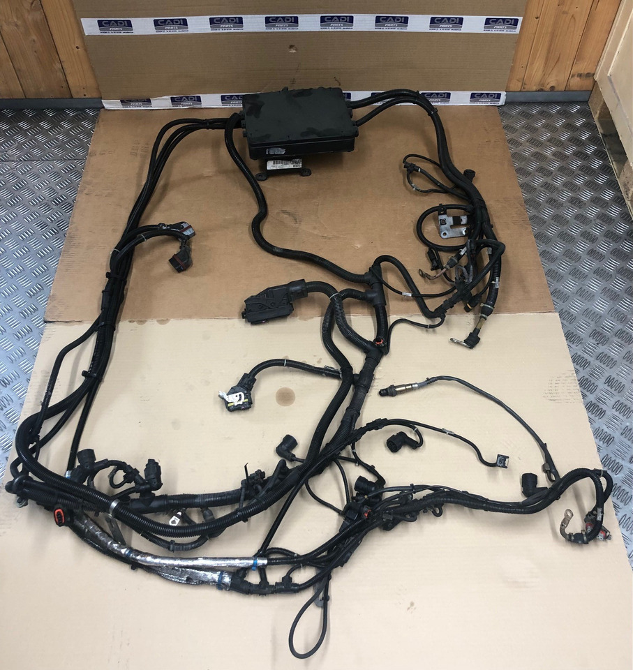 FASCIA CAVI MOTORE MAN 81254246448 - Kablar/ Ledningar för Lastbil: bild 1 FASCIA CAVI MOTORE MAN 81254246448 - Kablar/ Ledningar för Lastbil: bild 1