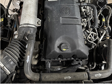 TEDI-TRANS PLUS KRYSTIAN NAWASIELSKI