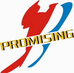 QINGDAO PROMISING INTERNATIONAL CO., LTD. på Truck1